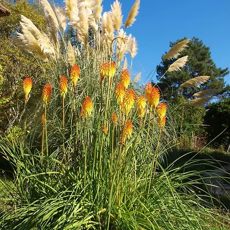 Сasa de vacaciones Le Rossignol - La Cipiere Peyzac-le-Moustier