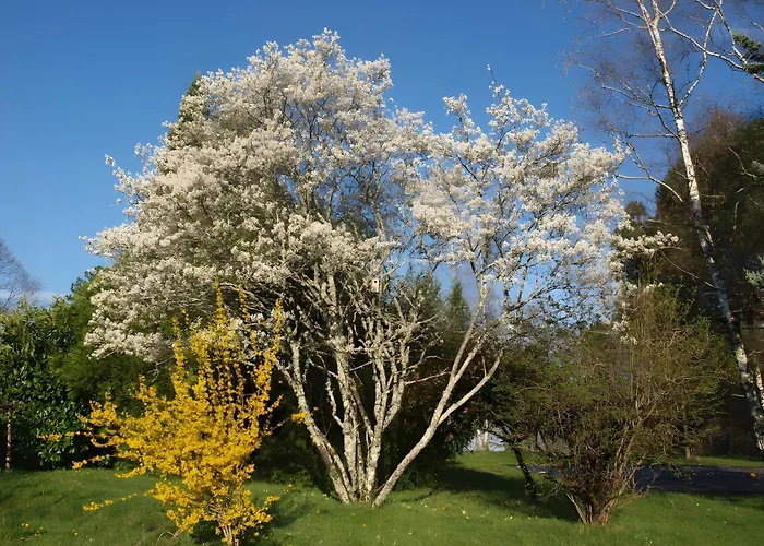 Le Rossignol - La Cipiere Peyzac-le-Moustier
