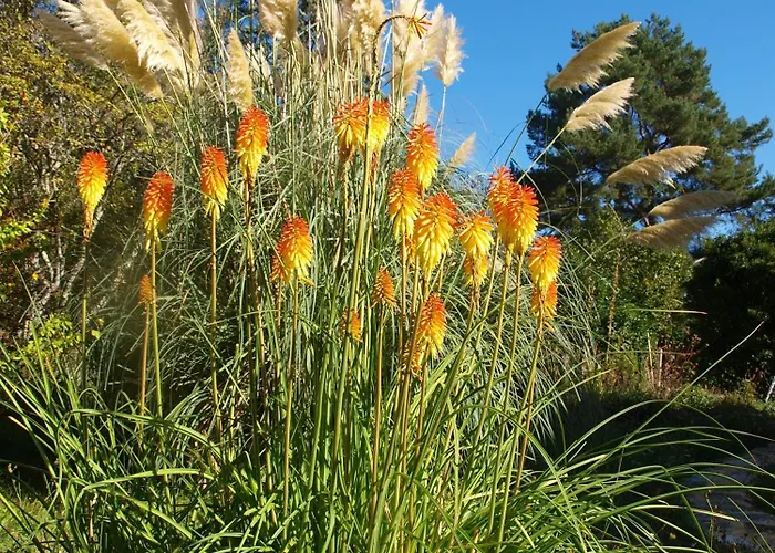 Feriehus Le Rossignol - La Cipiere Peyzac-le-Moustier