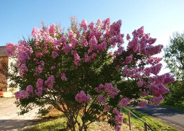 Le Rossignol - La Cipiere Feriehus Peyzac-le-Moustier